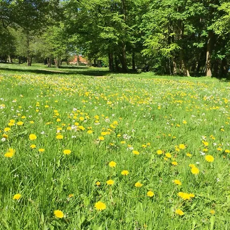 Teichidylle In Alleinlage Moormerland