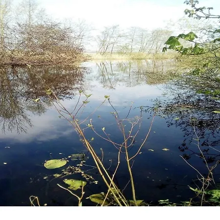 Teichidylle In Alleinlage Moormerland